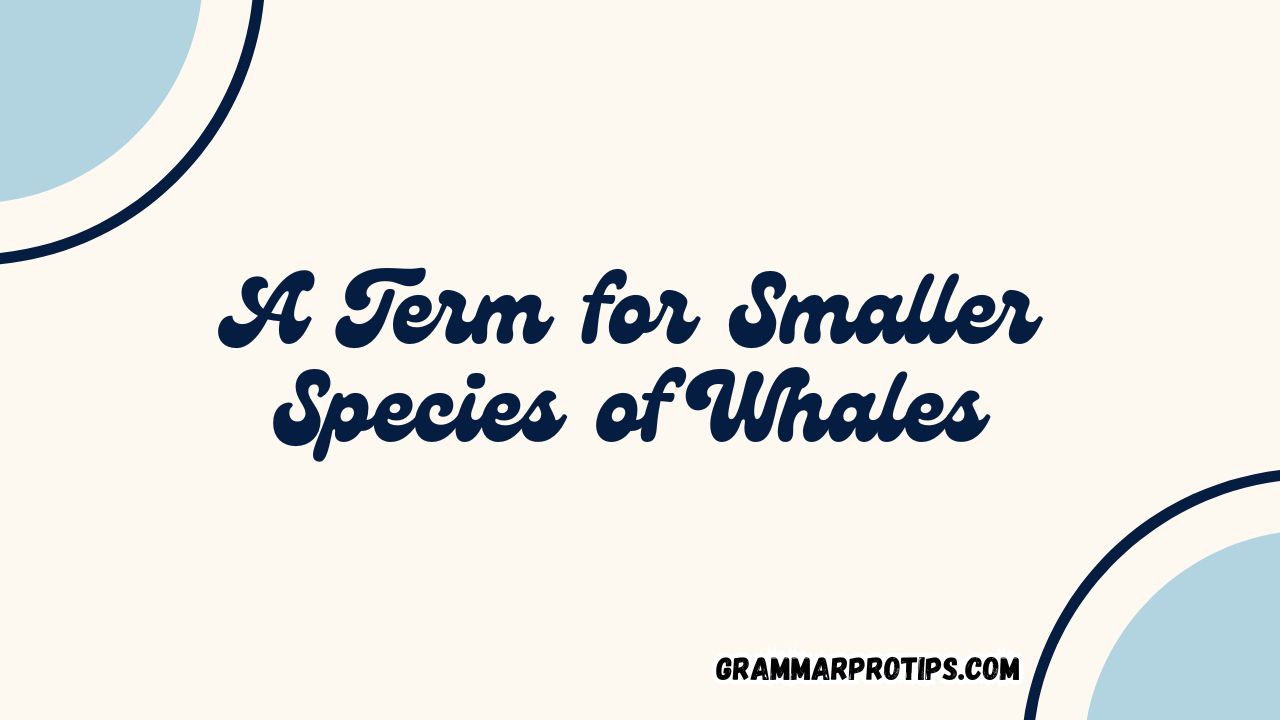 A Term for Smaller Species of Whales