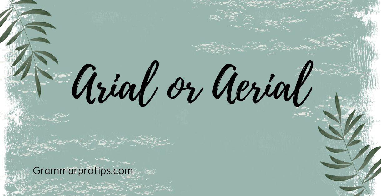 Arial or Aerial