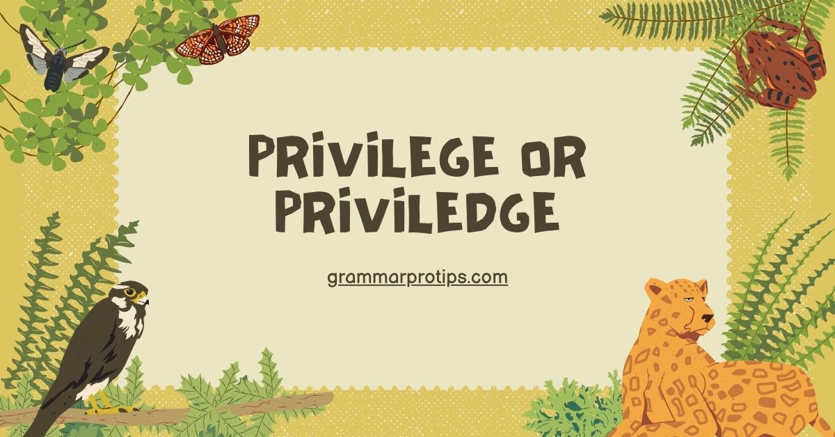 Privilege Or Priviledge