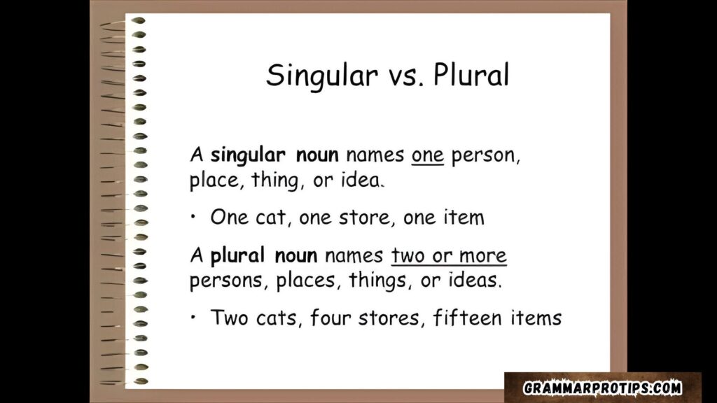 Singular vs. Plural Understanding the Difference