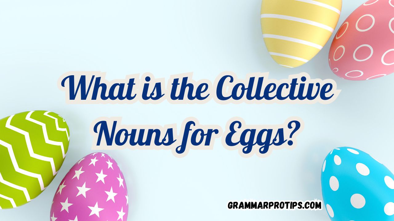 What is the Collective Nouns for Eggs?