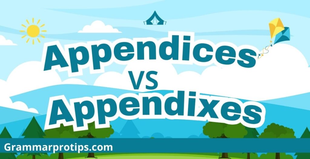 Appendixes