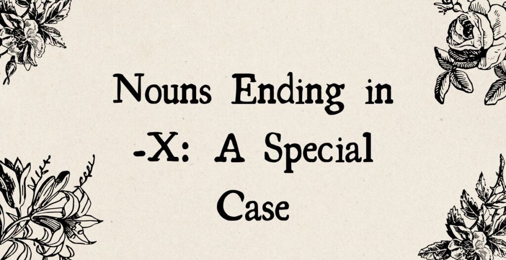 Nouns Ending in -X A Special Case