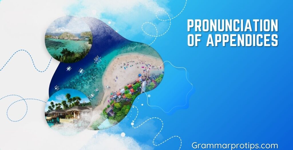 Pronunciation of Appendices