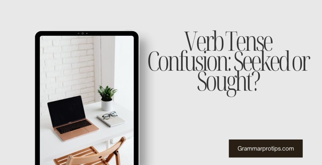 Verb Tense Confusion Seeked or Sought