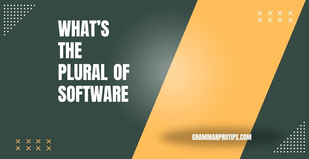 What’s the Plural of Software