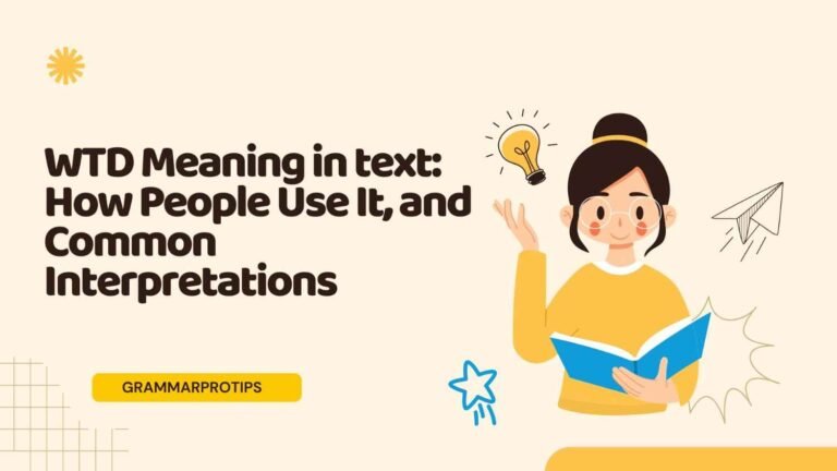 WTD Meaning in text: How People Use It, and Common Interpretations